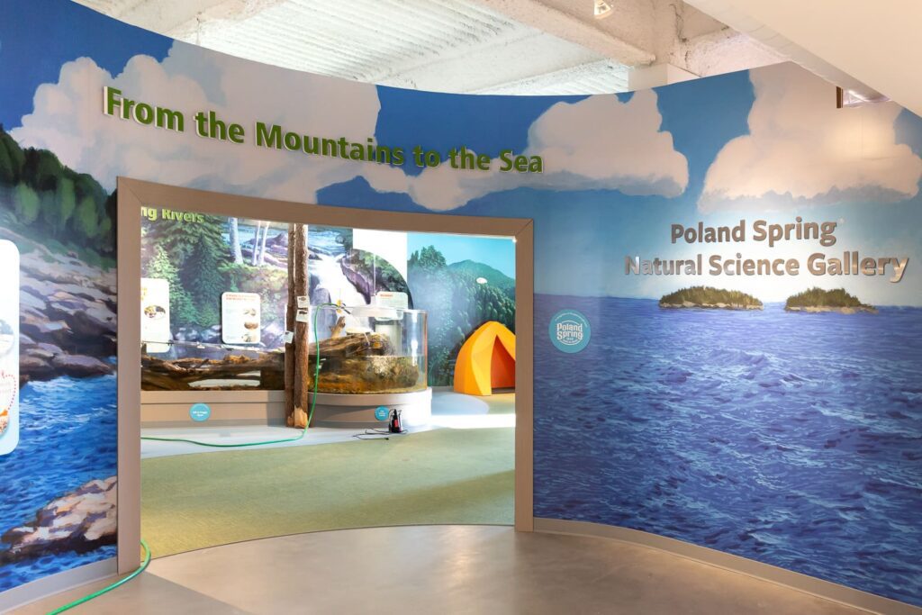 Poland Spring natural science gallery wall graphics environmental branding