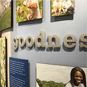 toms of maine branding solution goodness lettering and photographs closeup